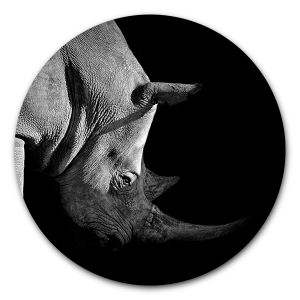 communicatie Ontbering vee Muurcirkel Rhino » zwart-wit dieren wanddecoratie | WallCatcher