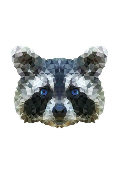 Pixxi Raccoon wanddecoratie kinderkamer