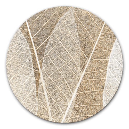 Leaf Texture - ronde natuur muurdecoratie