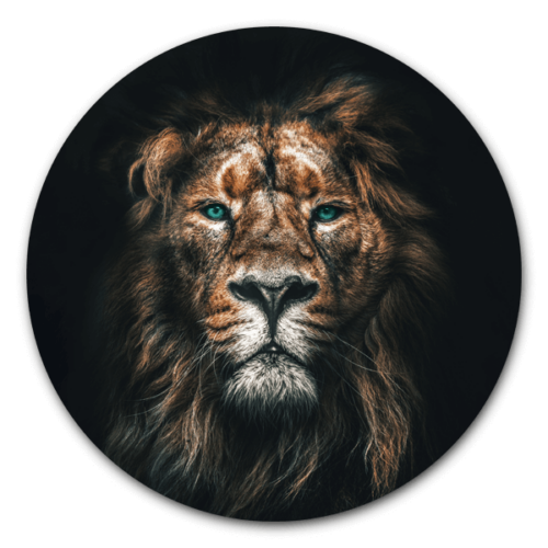 Muurcirkel Lion - dieren op ronde wanddecoratie.