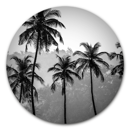 Muurcirkel Palm Trees - ronde botanische wanddecoratie