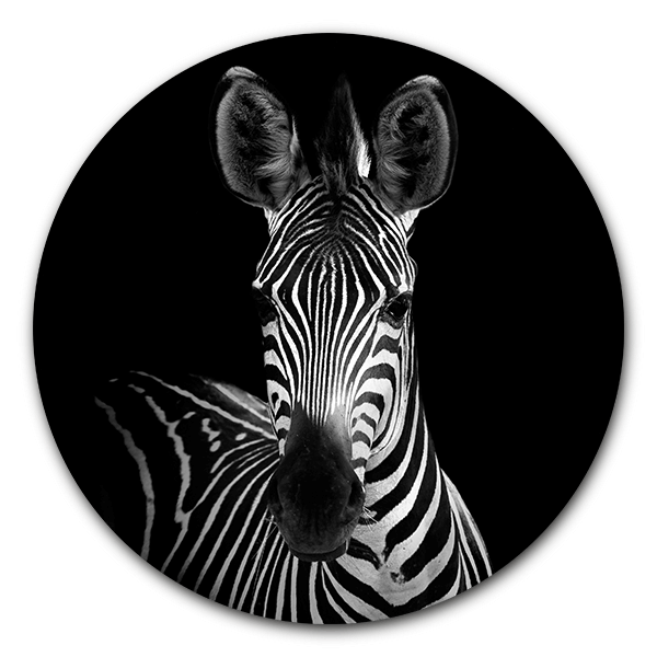 Opera Ja afstand Muurcirkel Zebra Portrait ☆ Dieren op LUXE MATERIALEN | WallCatcher