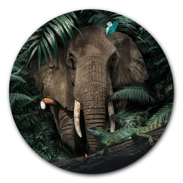 wonder Mooie jurk bed Muurcirkel Jungle Elephant | Unieke muurcirkels | Hip design | WallCatcher